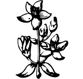 03-8